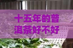十五年的普洱茶好不好，资深茶友告诉你答案