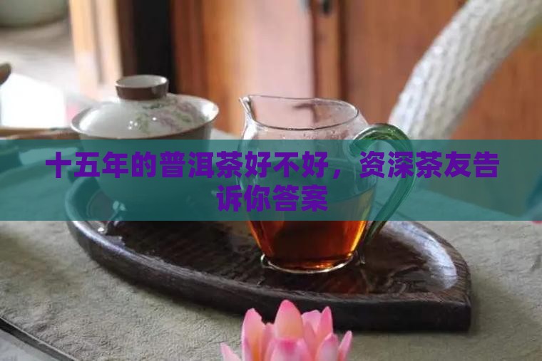 十五年的普洱茶好不好，资深茶友告诉你答案