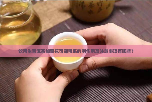 饮用生普洱茶加菊花可能带来的副作用及注意事项有哪些？