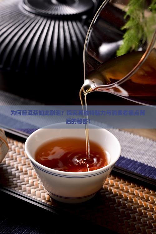 为何普洱茶如此耐泡？探究其独特魅力与消费者痛点背后的秘密！