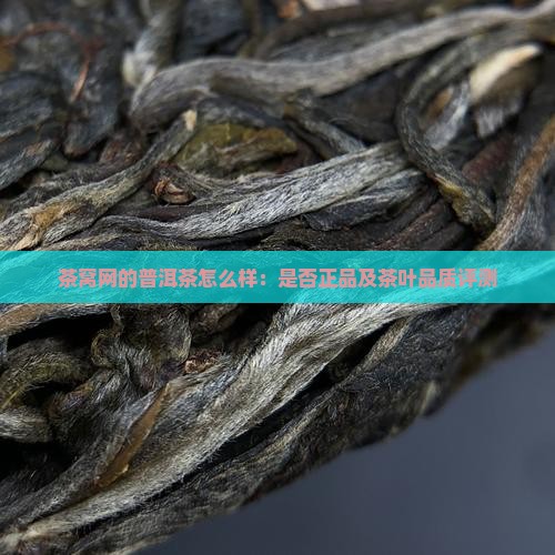 茶窝网的普洱茶怎么样：是否正品及茶叶品质评测
