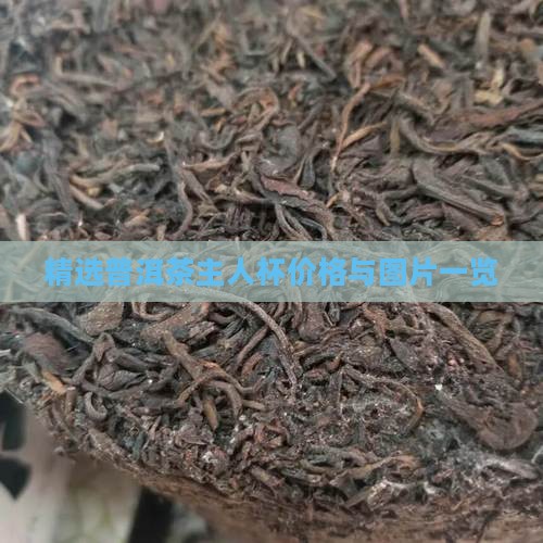 精选普洱茶主人杯价格与图片一览