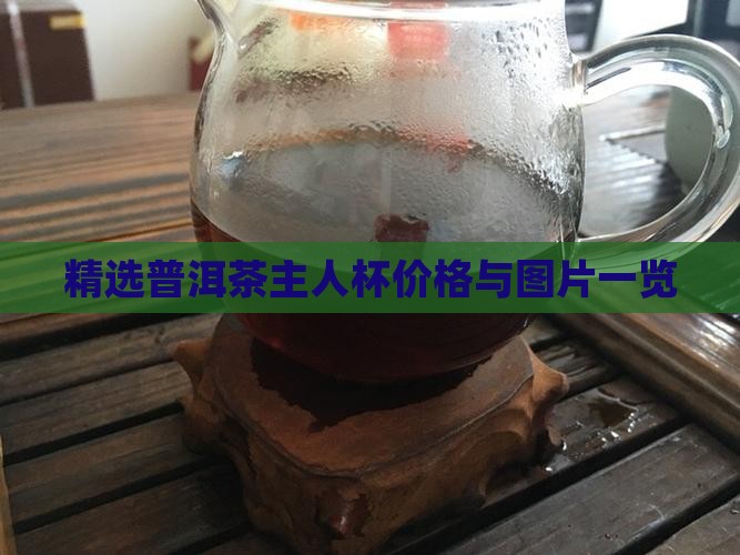 精选普洱茶主人杯价格与图片一览