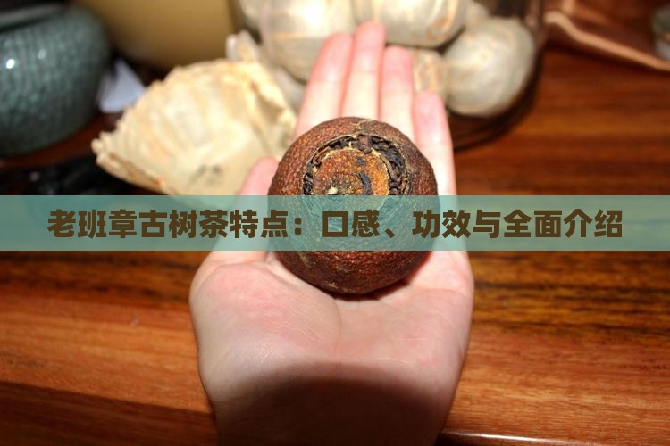 老班章古树茶特点：口感、功效与全面介绍