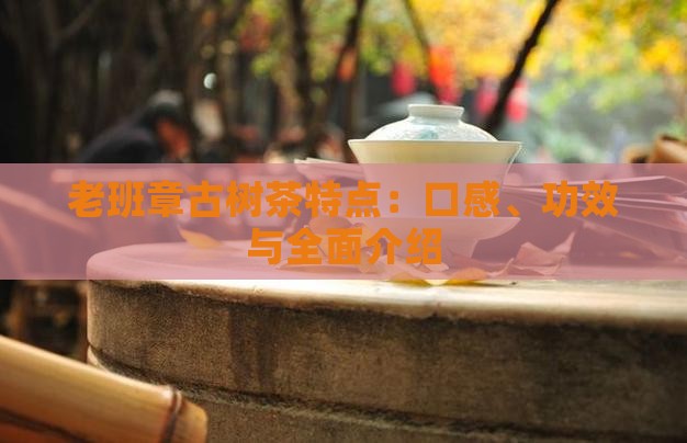 老班章古树茶特点：口感、功效与全面介绍
