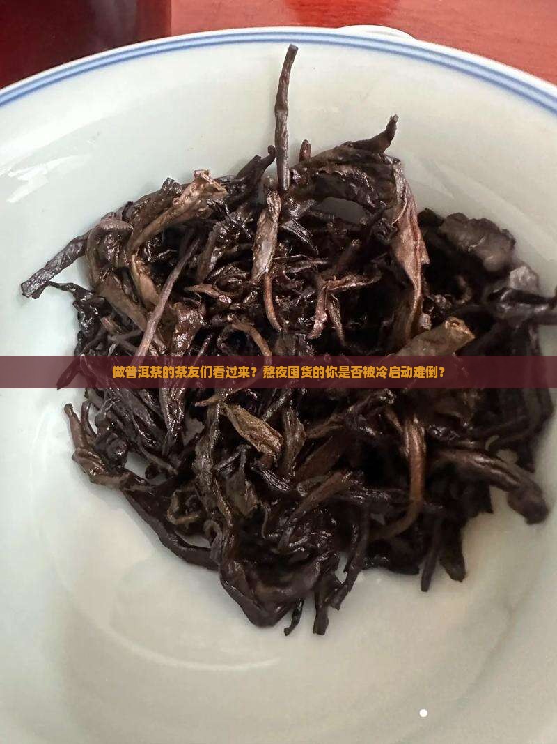做普洱茶的茶友们看过来？熬夜囤货的你是否被冷启动难倒？