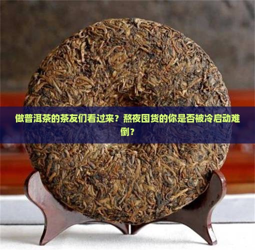 做普洱茶的茶友们看过来？熬夜囤货的你是否被冷启动难倒？