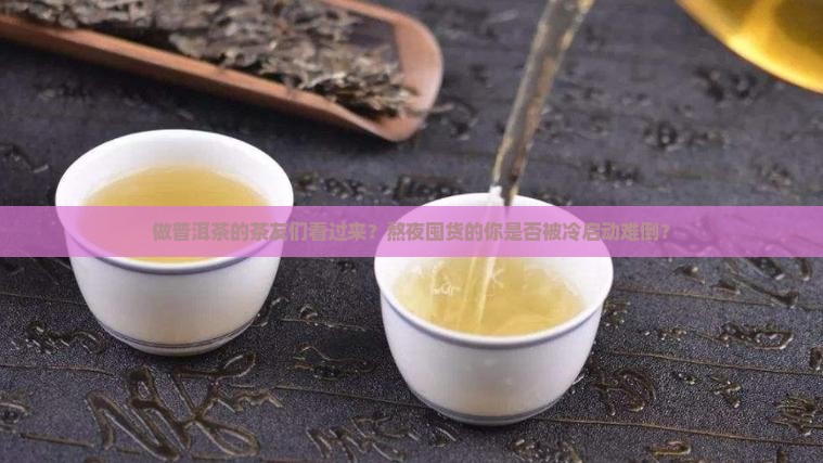 做普洱茶的茶友们看过来？熬夜囤货的你是否被冷启动难倒？