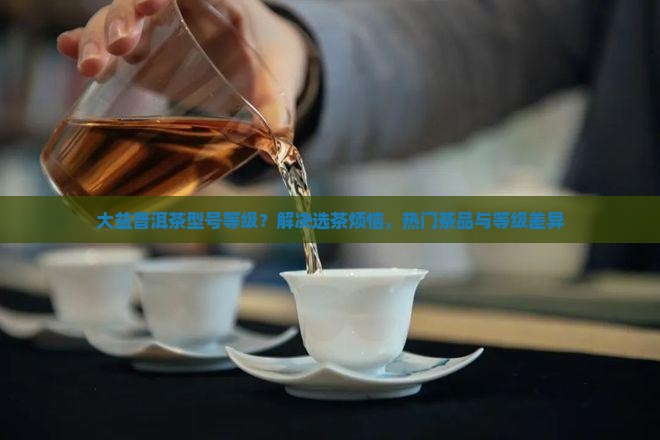大益普洱茶型号等级?解决选茶烦恼,热门茶品与等级差异 大益普洱茶型号等级?解决选茶烦恼,热门茶品与等级差异