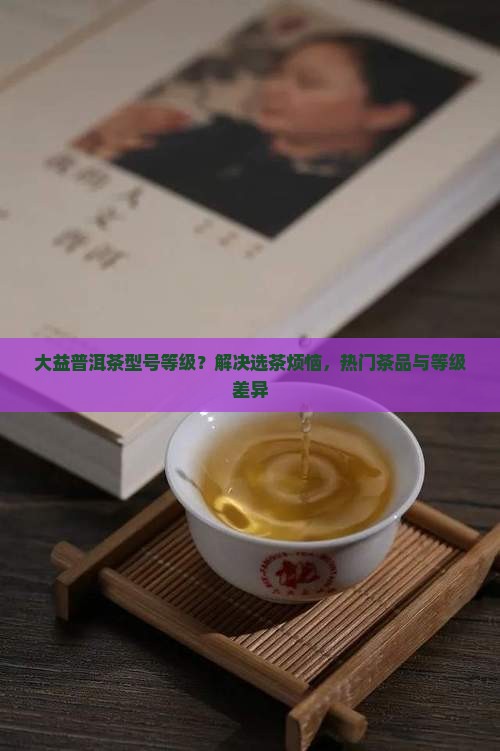 大益普洱茶型号等级?解决选茶烦恼,热门茶品与等级差异 大益普洱茶型号等级?解决选茶烦恼,热门茶品与等级差异