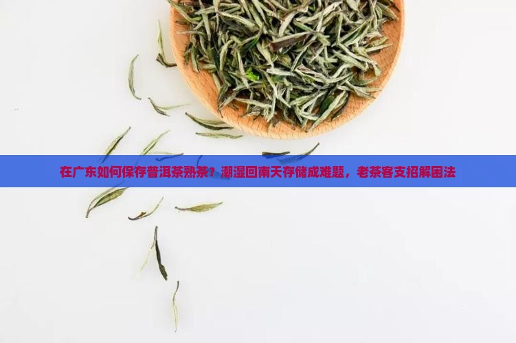 在广东如何保存普洱茶熟茶?潮湿回南天存储成难题,老茶客支招解困法 在广东如何保存普洱茶熟茶?潮湿回南天存储成难题,老茶客支招解困法