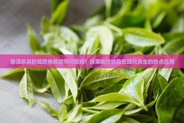 普洱茶真的能改善肺结节问题吗？探索传统饮品在现代养生的热点应用