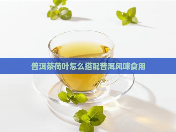 普洱茶荷叶怎么搭配普洱风味食用
