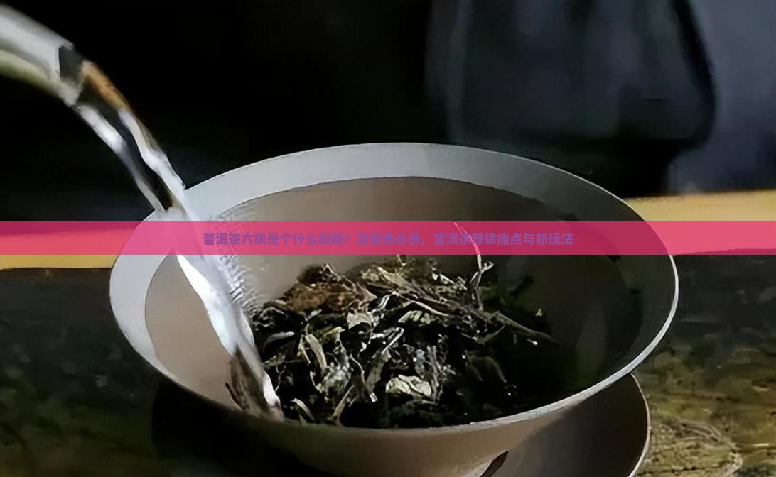 普洱茶六级是个什么级别？老茶鬼必看，普洱茶等级痛点与新玩法