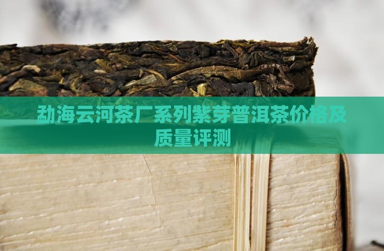 勐海云河茶厂系列紫芽普洱茶价格及质量评测