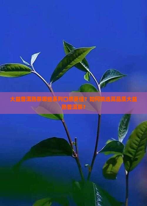 大益普洱熟茶哪些系列口感更佳？如何挑选高品质大益熟普洱茶？