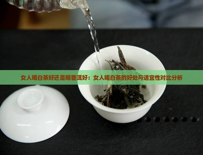 女人喝白茶好还是喝普洱好：女人喝白茶的好处与适宜性对比分析
