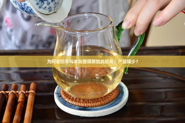 为何老班章与冰岛普洱茶如此珍贵：产量稀少？