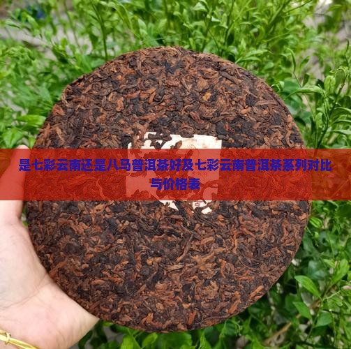 是七彩云南还是八马普洱茶好及七彩云南普洱茶系列对比与价格表