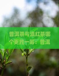 普洱茶与滇红茶哪个更胜一筹：普洱与滇红的区别对比
