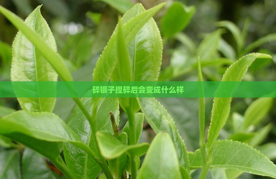 碎银子捏碎后会变成什么样