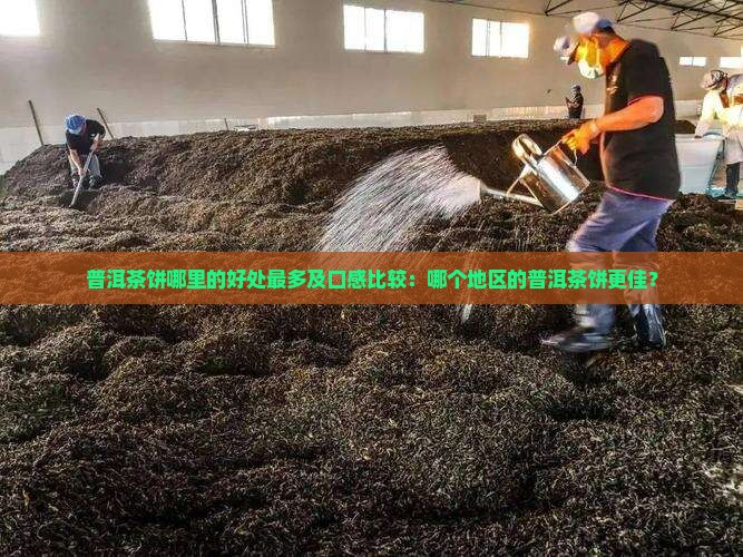 普洱茶饼哪里的好处最多及口感比较：哪个地区的普洱茶饼更佳？