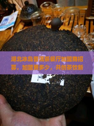 湖北冰岛普洱茶餐厅加盟商招募，加盟费多少，共创茶饮新篇章