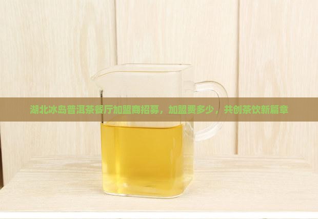 湖北冰岛普洱茶餐厅加盟商招募，加盟费多少，共创茶饮新篇章