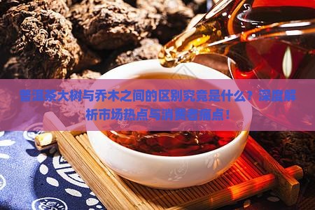 普洱茶大树与乔木之间的区别究竟是什么？深度解析市场热点与消费者痛点！