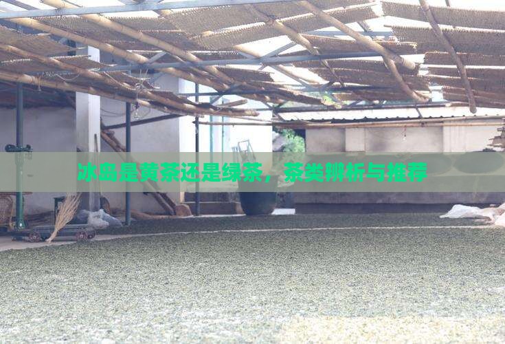 冰岛是黄茶还是绿茶，茶类辨析与推荐