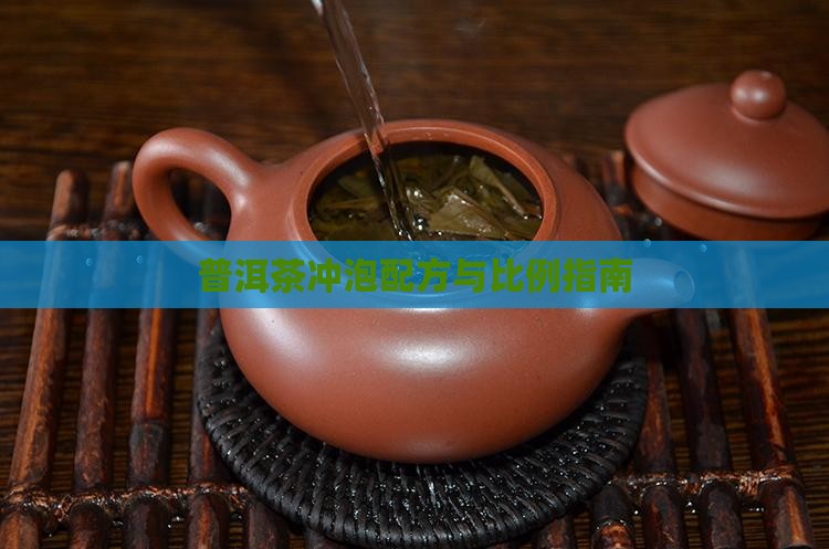 普洱茶冲泡配方与比例指南