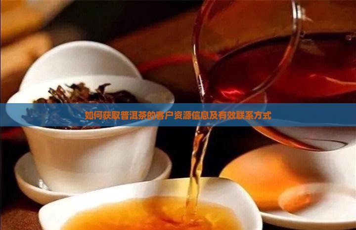如何获取普洱茶的客户资源信息及有效联系方式