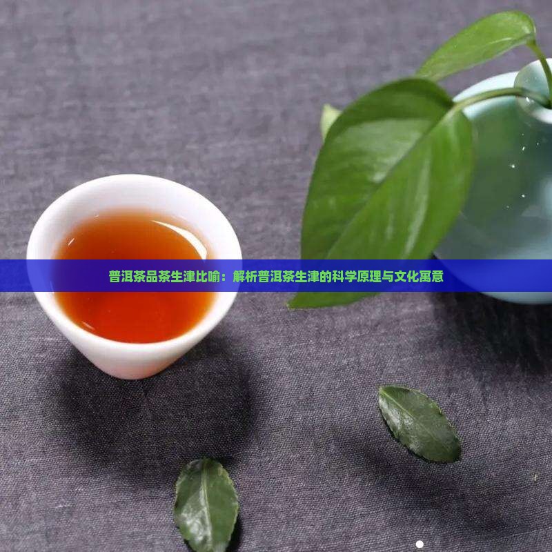 普洱茶品茶生津比喻：解析普洱茶生津的科学原理与文化寓意
