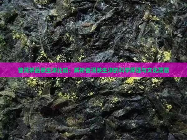普洱茶品茶生津比喻：解析普洱茶生津的科学原理与文化寓意
