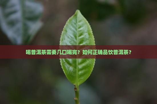 喝普洱茶需要几口喝完？如何正确品饮普洱茶？