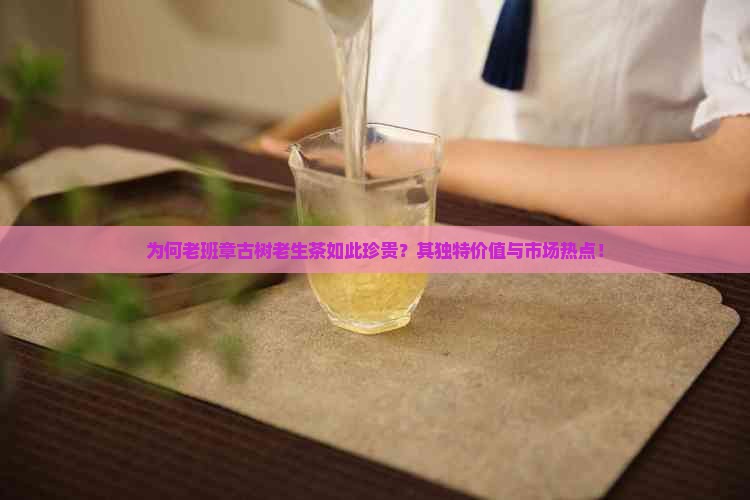 为何老班章古树老生茶如此珍贵？其独特价值与市场热点！