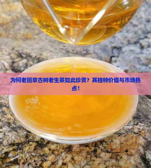 为何老班章古树老生茶如此珍贵？其独特价值与市场热点！