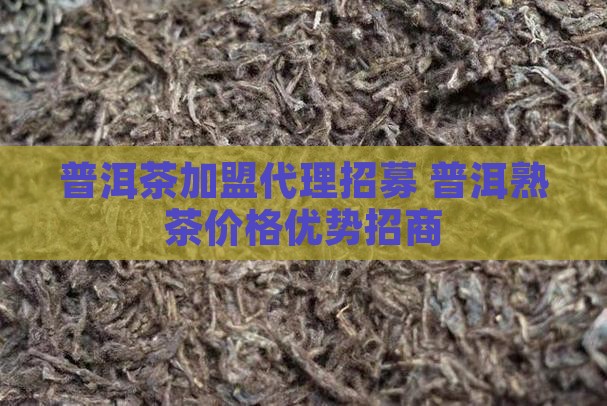 普洱茶加盟代理招募 普洱熟茶价格优势招商