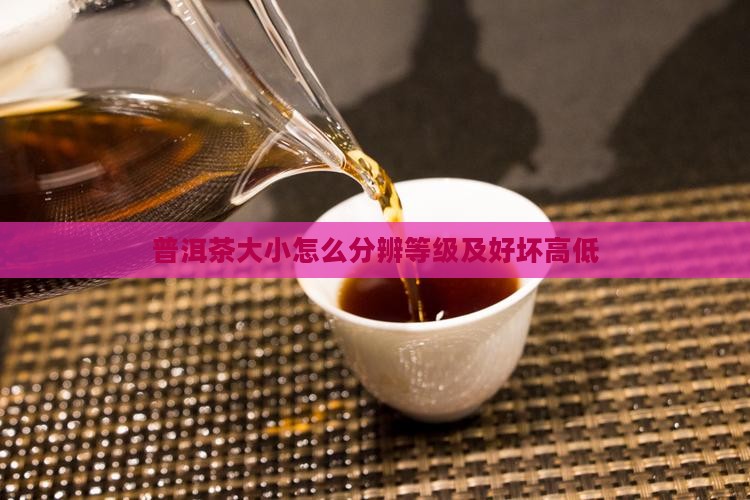 普洱茶大小怎么分辨等级及好坏高低