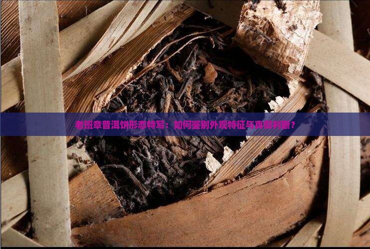 老班章普洱饼形态特写：如何鉴别外观特征与真假判断？