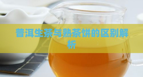 普洱生茶与熟茶饼的区别解析