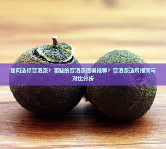 如何选择普洱茶？哪些的普洱茶值得推荐？普洱茶选购指南与对比分析