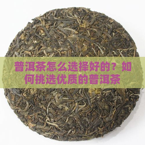 普洱茶怎么选择好的？如何挑选优质的普洱茶