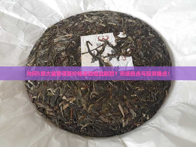 为何5级大益普洱茶价格波动如此剧烈？市场热点与投资痛点！
