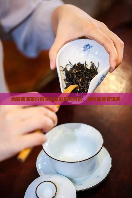 勐海普洱茶价格实惠批发采购首选，春秋品质普洱茶