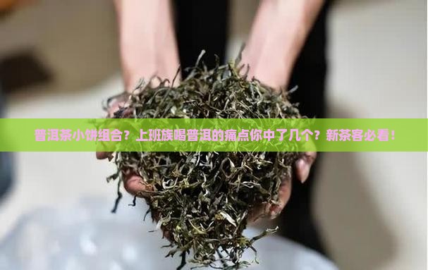 普洱茶小饼组合？上班族喝普洱的痛点你中了几个？新茶客必看！