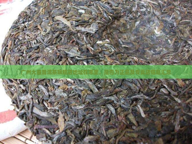 广州大益普洱茶旗舰店地址在哪里，是否为正品及专卖店信息汇总