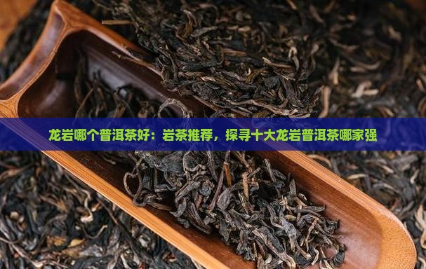 龙岩哪个普洱茶好：岩茶推荐，探寻十大龙岩普洱茶哪家强