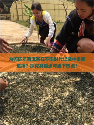 为何陈年普洱茶在不同时代记录中备受追捧？探究其痛点与当下热点！