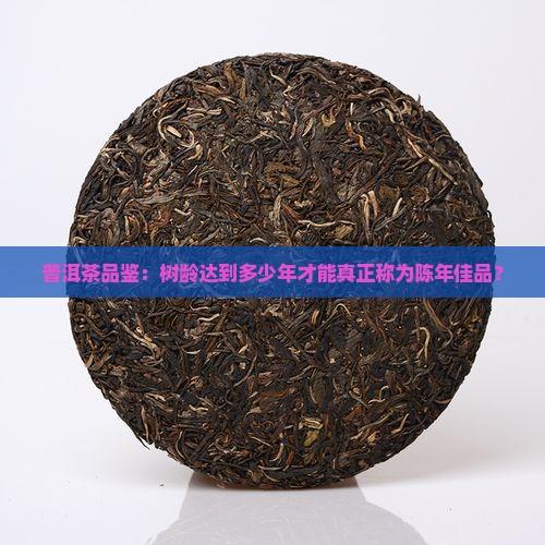 普洱茶品鉴：树龄达到多少年才能真正称为陈年佳品？